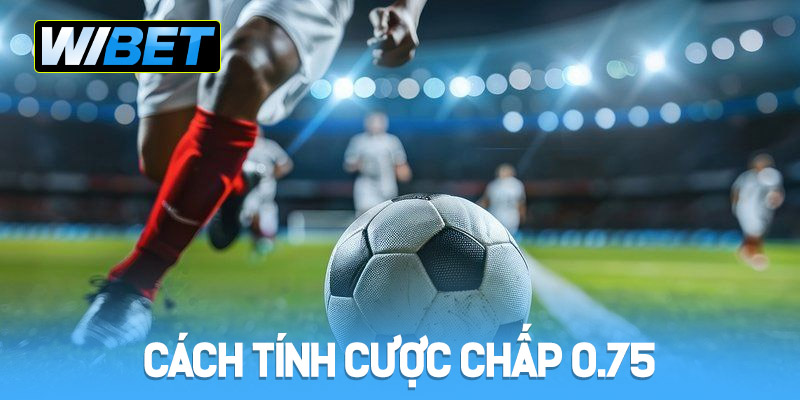Cách tính cược chấp 0.75 dành cho người mới tại WIBET