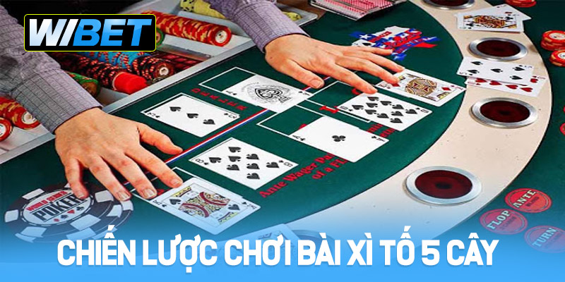 Chiến lược chơi bài xì tố 5 cây tại WIBET