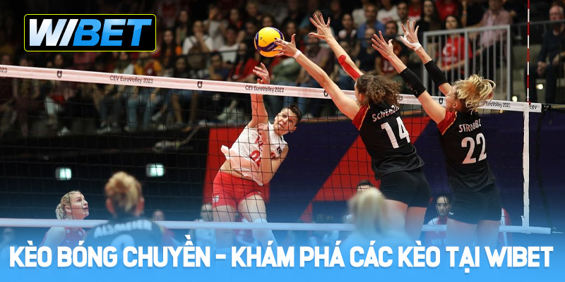 Kèo bóng chuyền là gì? Khám phá các loại kèo tại WIBET