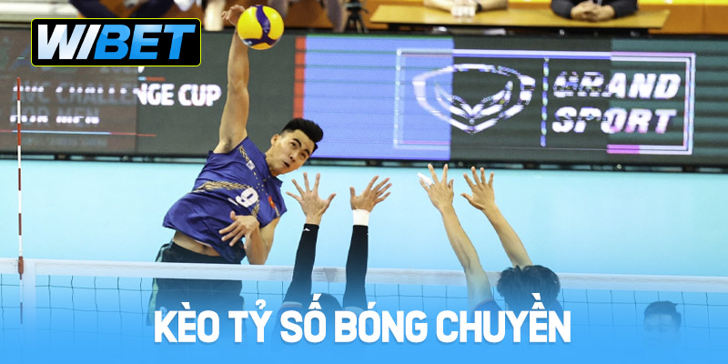 Kèo tỷ số bóng chuyền tại WIBET